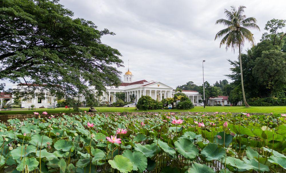 Wisata di Kebun Raya Bogor - Istana Bogor